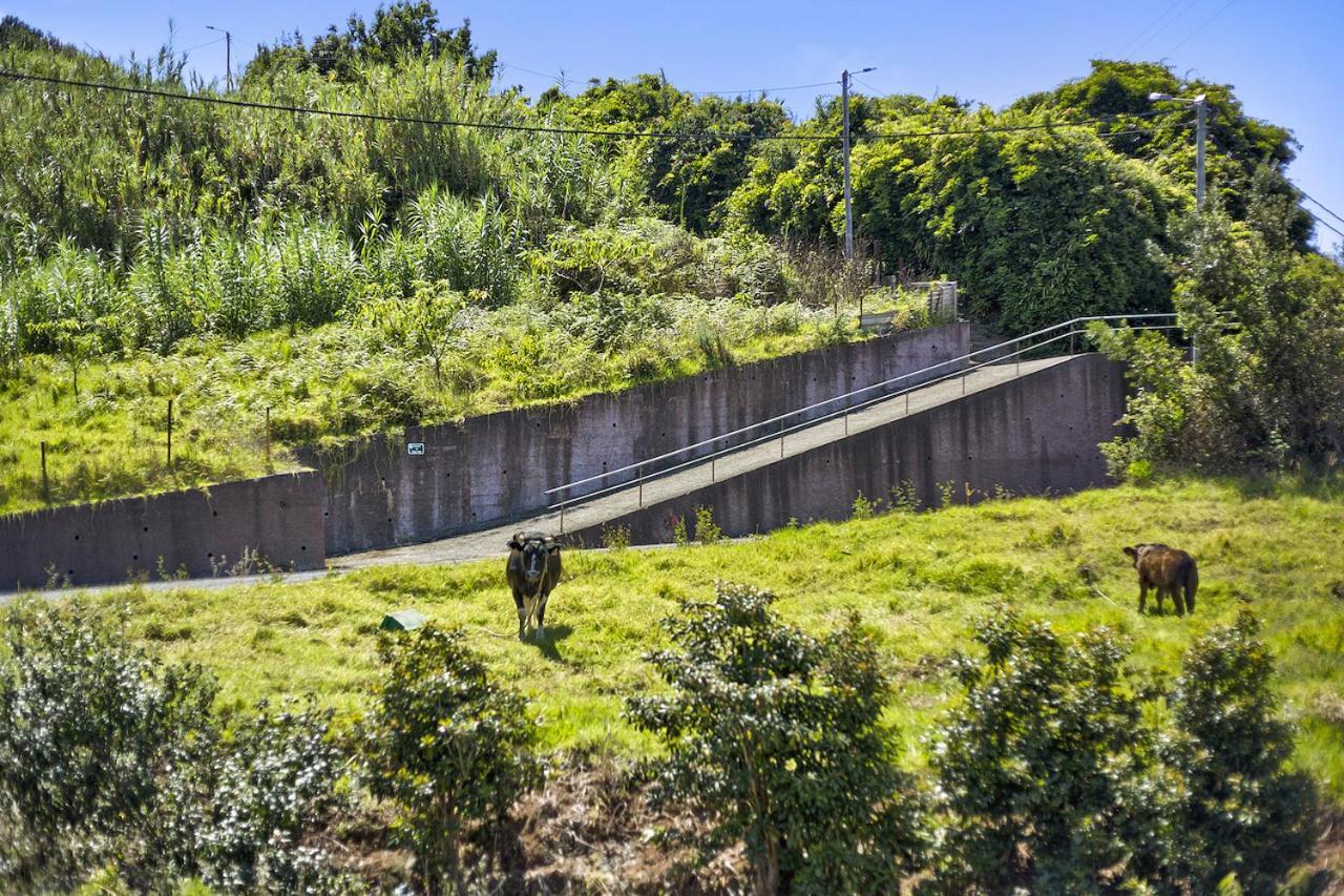 فيلا Casa Afonso Na Madeira ساو خورخي المظهر الخارجي الصورة